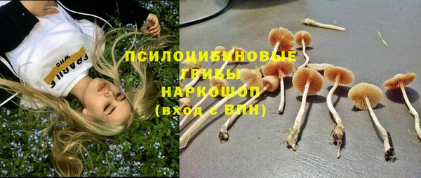 mdpv Абдулино
