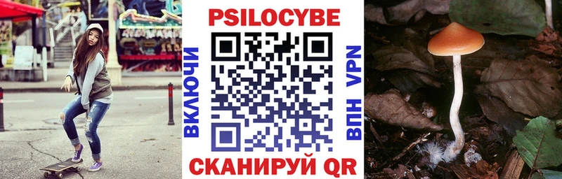 Галлюциногенные грибы MAGIC MUSHROOMS  mega ССЫЛКА  Агидель 